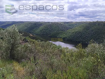 image-5KSpC5X8xsl-0