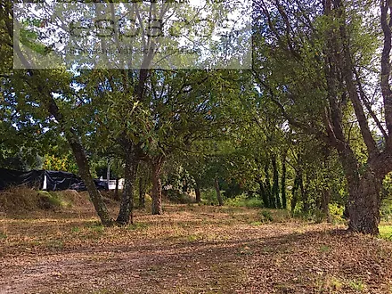 Land for sale in Fundão, Portugal — €210,000