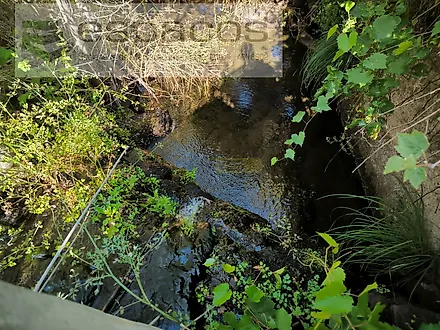 image-DdKslznqg1x-0