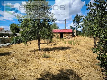 image-G8P034siQFD-0
