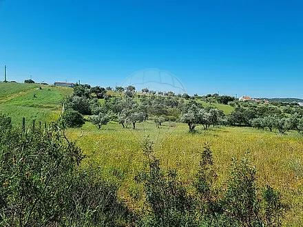 image-GFrs2jGJcQQ-0