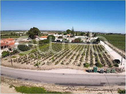 Land for sale in Palmela, Portugal — €127,000