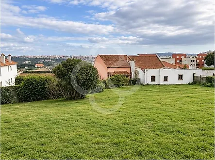 listing-L6PaxfVz2ri