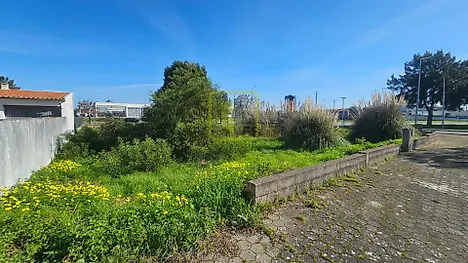 Land for sale in Ílhavo, Portugal — €60,000