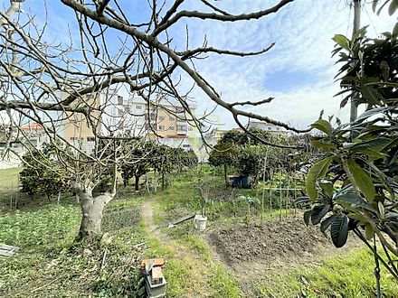 Land for sale in Figueira da Foz, Portugal — €55,000
