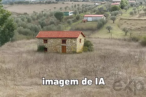 image-4dSFnN5qlFS-0