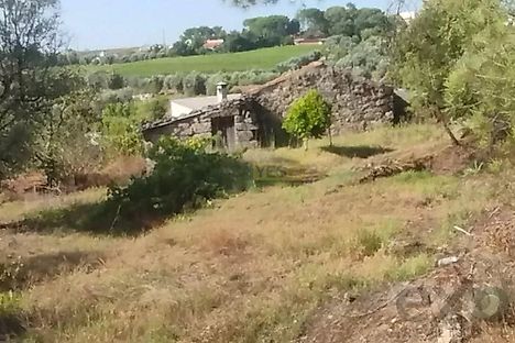 Land for sale in Nelas, Portugal — €60,000