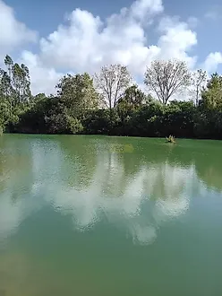 Land for sale in Alcobaça, Portugal — €300,000