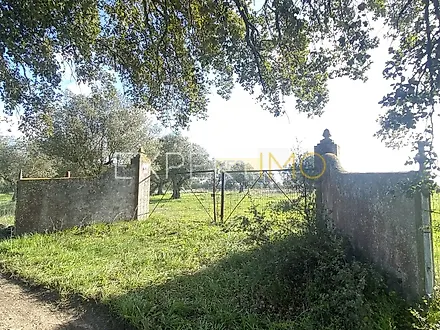 image-HIbQsz2Ds3n-0