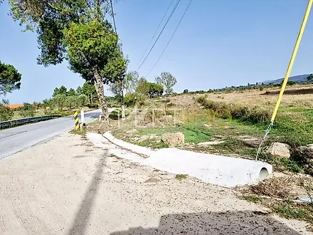 image-LDkjLROgOEb-0