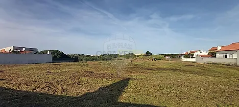 image-6O8ZQbI824S-0