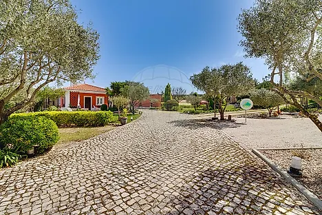 image-5y5xcCSAyGA-0