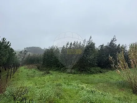 image-Bs659pnwoPs-0