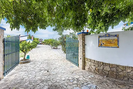 image-DshtMOHtsAO-0