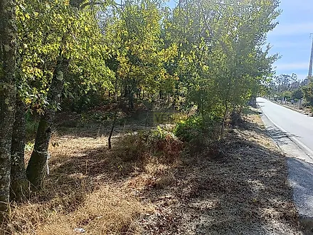 image-1K55p5Yz3vc-0