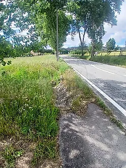 image-47XZTz5G3K6-0