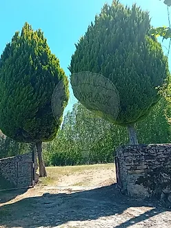 image-DxgduypEpfZ-0
