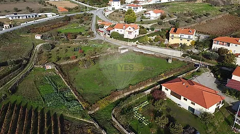image-ENS90fuYjvy-0