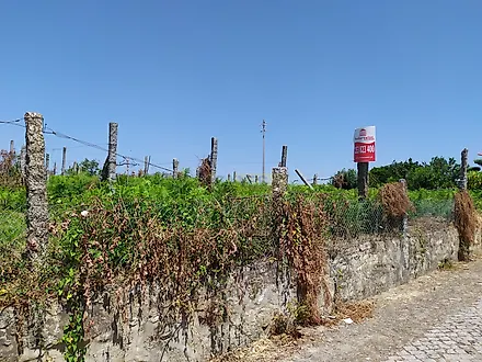 image-6IJQ9ZUZw0M-0