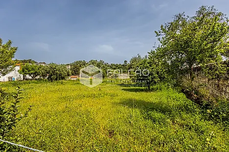 image-BN8h38FurvO-0