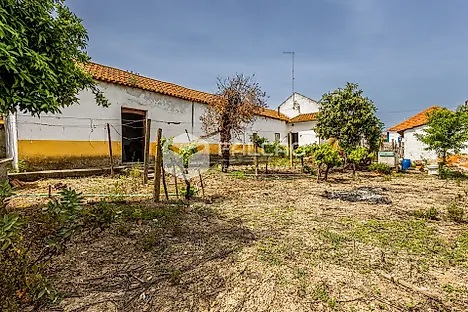 image-BN8h38FurvO-0