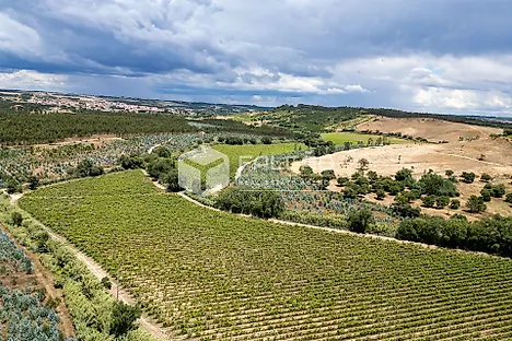 Land for sale in Azambuja, Portugal — €650,000