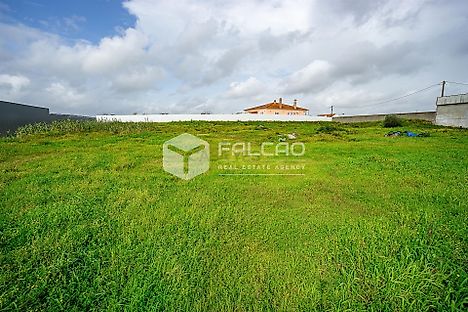 Land for sale in Cartaxo, Portugal — €195,000