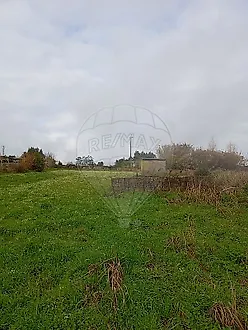 image-6svANKcHQt4-0