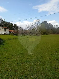 image-FotOMa23tPe-0