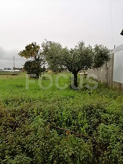 image-251Ik1DCaJy-0