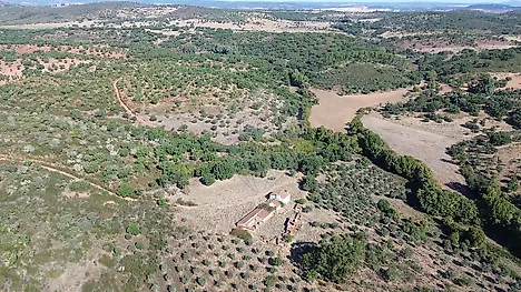 image-2Es8dGtE48p-0