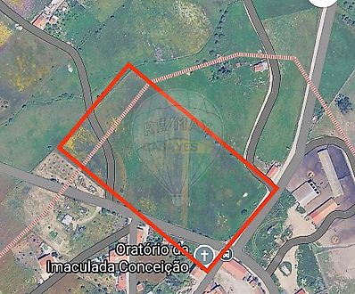 image-FWcIGBztyla-0