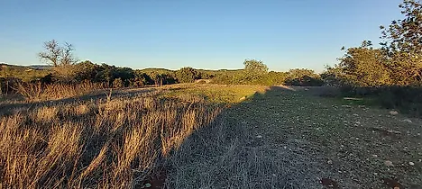 image-13Ox72NN64R-0