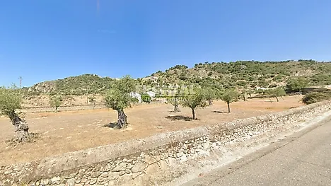 Terreno em Idanha-a-Nova