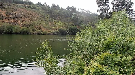 Land for sale in Amarante, Portugal — €350,000