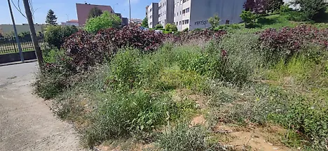 Land for sale in Vila Nova de Gaia, Portugal — €250,000