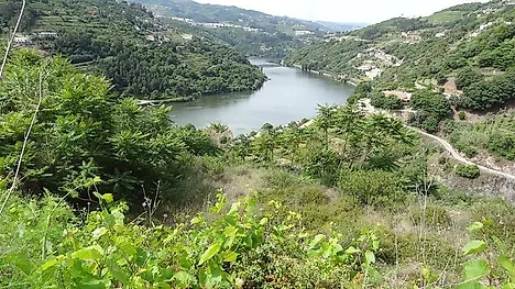 Land for sale in Baião, Portugal — €160,000