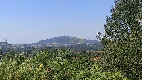 image-8XWWvtn8TRo-0