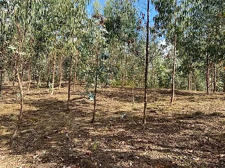 Land for sale in Valongo, Portugal — €99,800