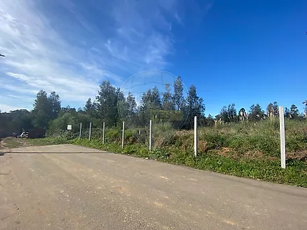 Land for sale in Santa Maria da Feira, Portugal — €99,000