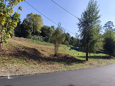 image-HqPGH2WXrEX-0