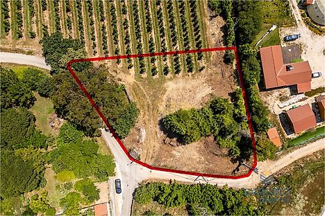 Land for sale in Alcobaça, Portugal — €82,500