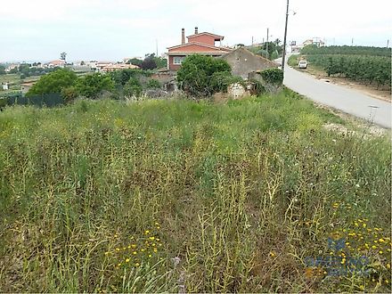 Land for sale in Caldas da Rainha, Portugal — €75,000