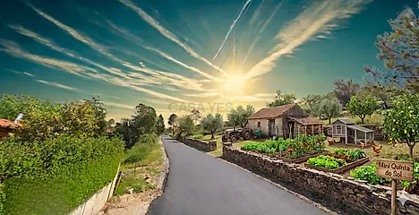 image-4Nb3pZt5uHP-0