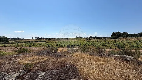 image-ABoAEXfEUyG-0