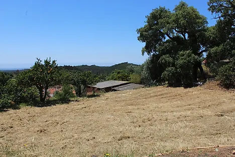 image-2UFMDtPaoIz-0