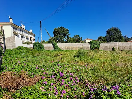 image-HLKaDJtQqWO-0