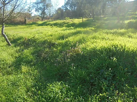 image-AdtDmo6D8e-0