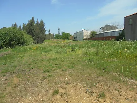 listing-EPQr7MACUqn
