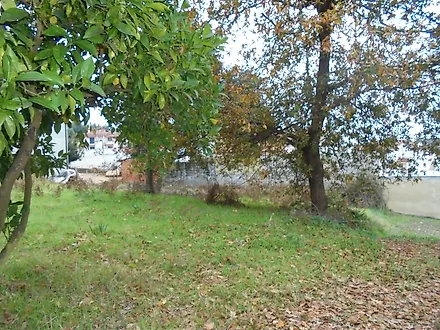 image-PqcVrXDydg-0